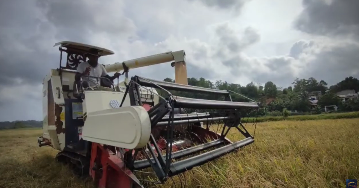 Liyanage Agri Business