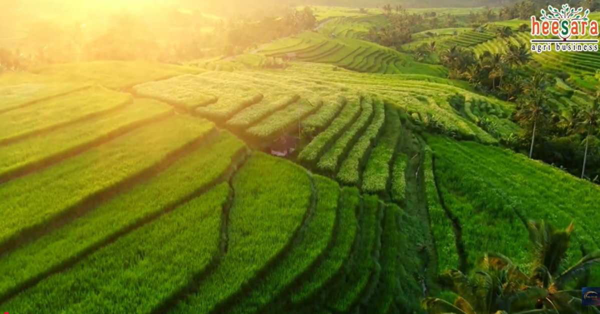 Heesara Agri Business